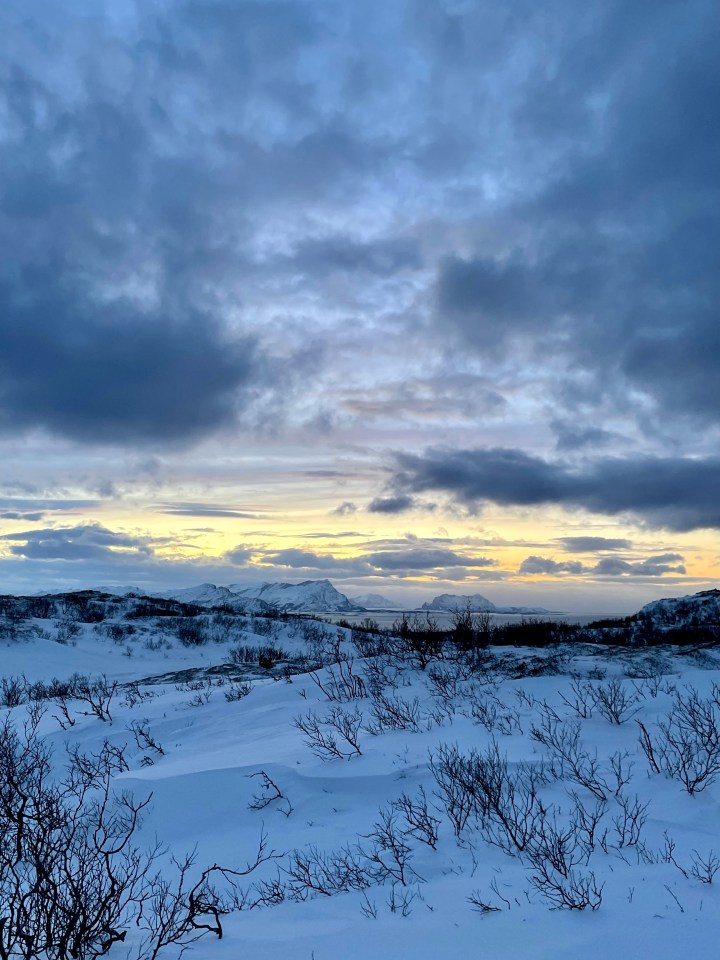 Five Days in&nbsp;Bodø