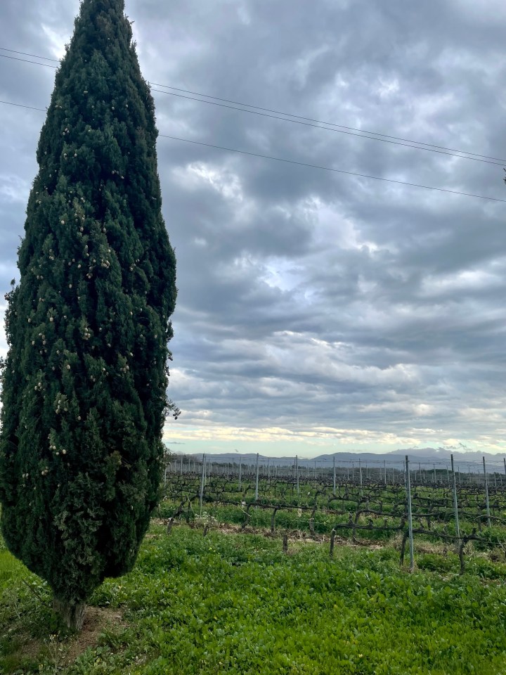 Three Days in&nbsp;Tuscany