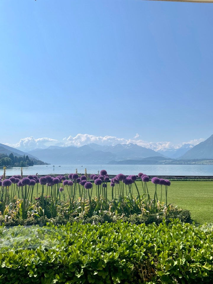 Nine Days in the Alps and&nbsp;Alsace